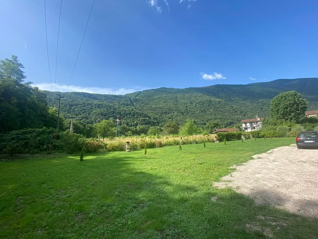 Die Wiese des Parkplatzes mit dem bewaldeten Berg dahinter und klarem Himmel